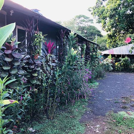 Apartamentos Equipados Dmr #3 Uvita Luaran gambar