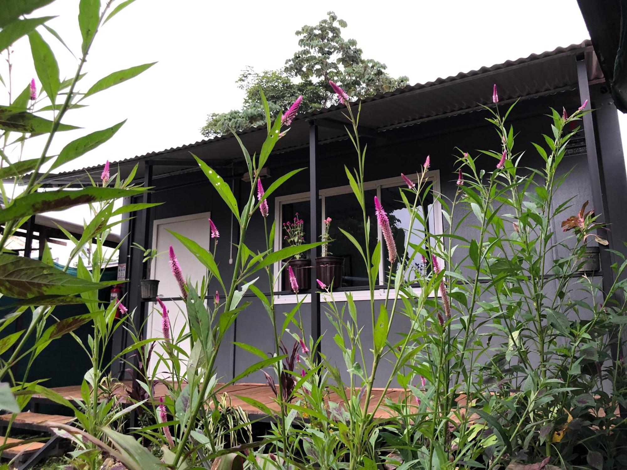 Apartamentos Equipados Dmr #3 Uvita Luaran gambar