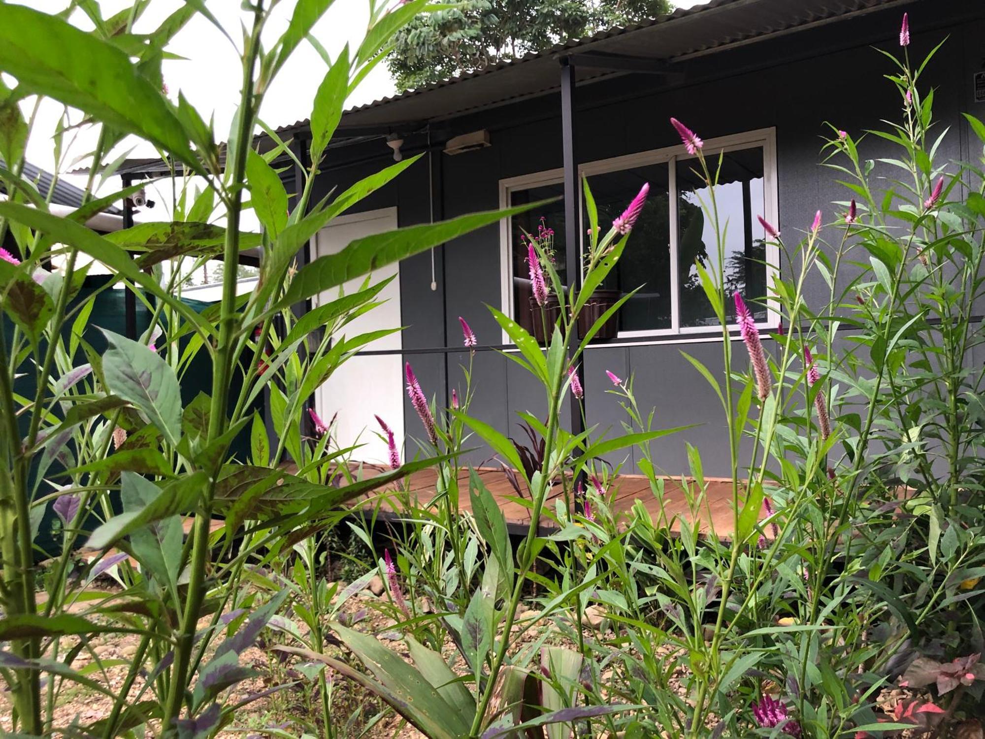 Apartamentos Equipados Dmr #3 Uvita Luaran gambar